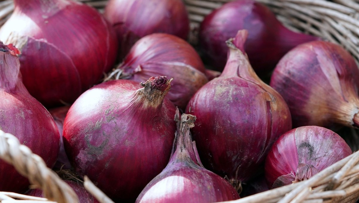 Brasil tem 44,8 milhões sem renda para alimentação saudável