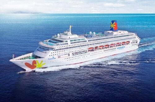 Strength of Cruise Market Spurs New Niche Startups